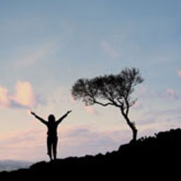 Stegrknare Pedometer Pulse