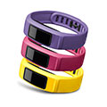 Vivofit 2 Accessory Bands Energy