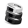 Vivofit 2 Accessory Bands Neutral