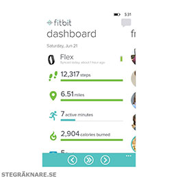 Fitbit Flex Blue