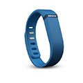 Fitbit Flex Blue