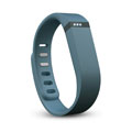 Fitbit Flex Slate