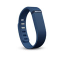 Fitbit Flex Navy